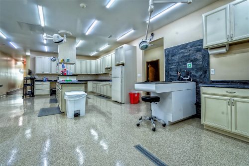 6-7-19_main_room_from_back-