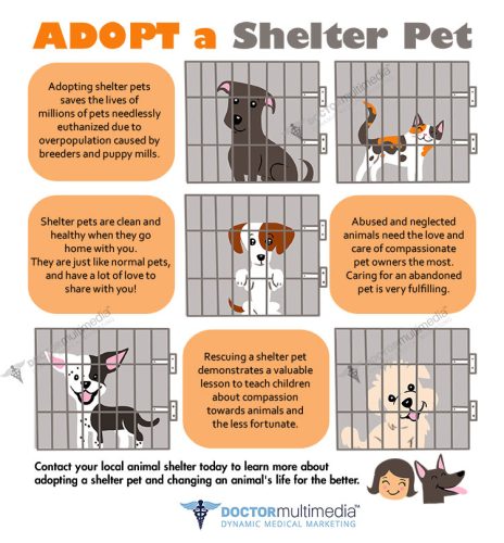 AdoptShelterPet_preview