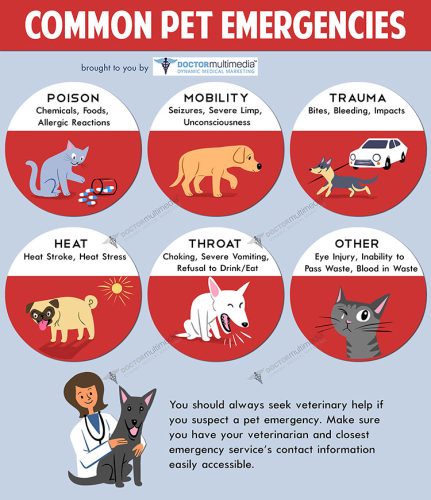 CommonEmergencies_preview