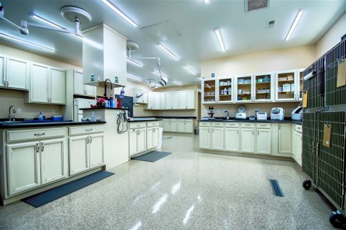 DSC_4302-HDR-Main_Room_ps_high_res