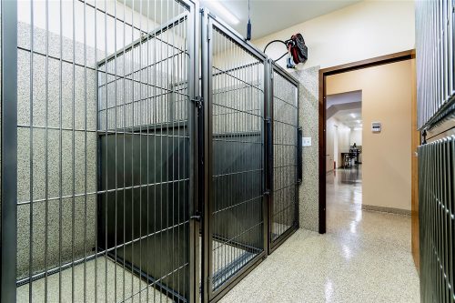 DSC_6082-back_kennel_2_ps_high_res