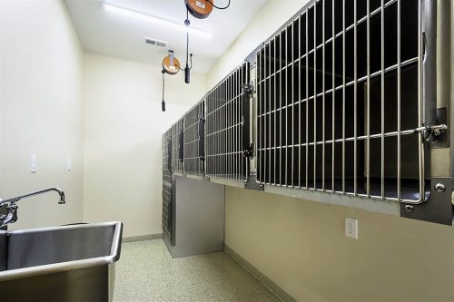 DSC_6129-back_kennel_3_ps_low_res