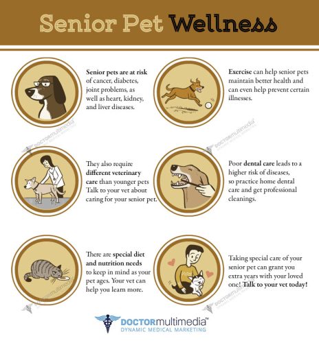 SeniorPets_preview