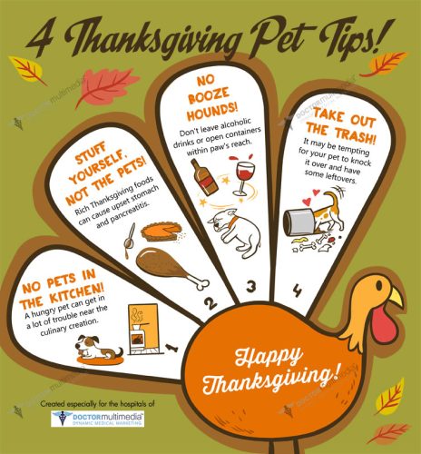 Thanksgiving_preview