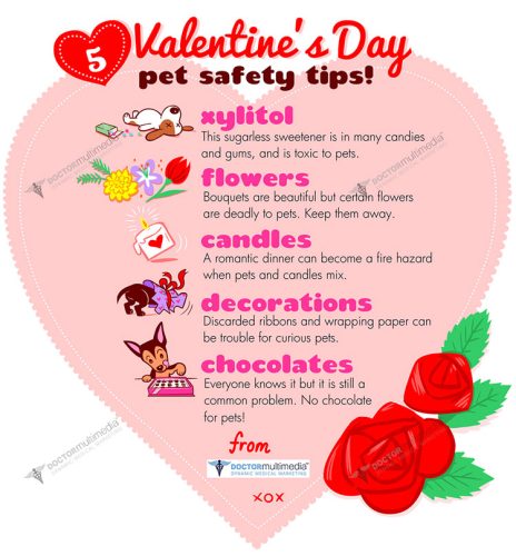 ValentinesDay_preview